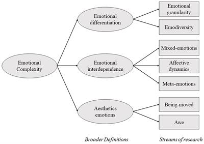 What Is Complex/Emotional About Emotional Complexity?